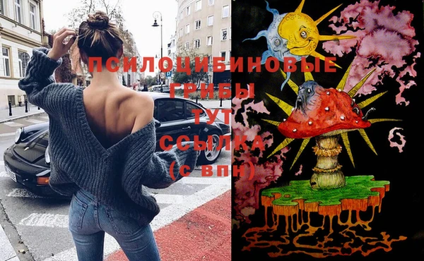 ПСИЛОЦИБИНОВЫЕ ГРИБЫ Алексеевка