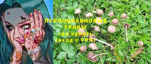 ПСИЛОЦИБИНОВЫЕ ГРИБЫ Алексеевка