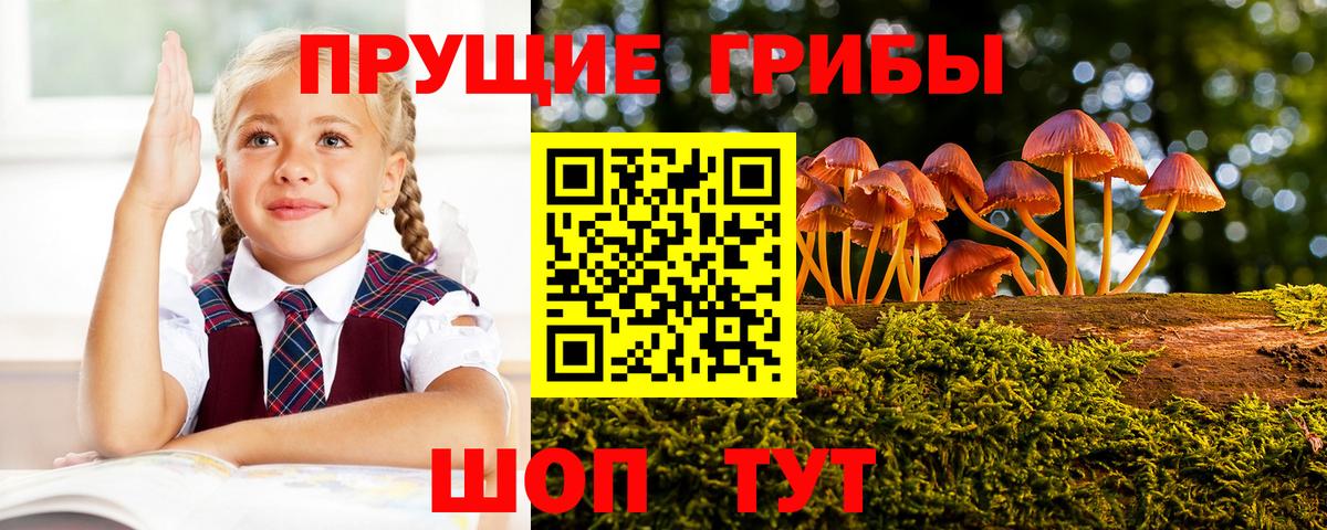 Псилоцибиновые грибы GOLDEN TEACHER Томск