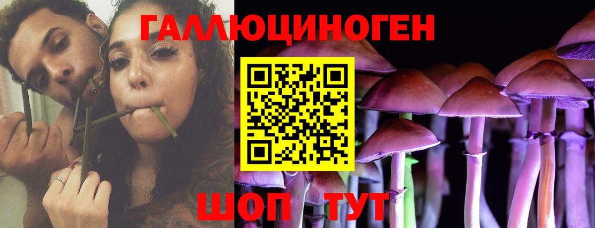 Псилоцибиновые грибы мицелий  Псилоцибиновые грибы прущие грибы  Вход с VPN  Томск 